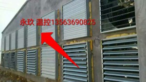 蜜桃免费观看安装现场
