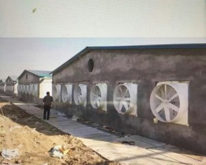 蜜桃免费观看安装现场