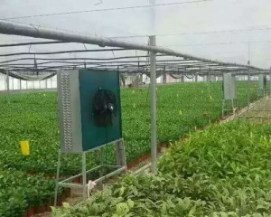 蜜桃免费观看安装现场