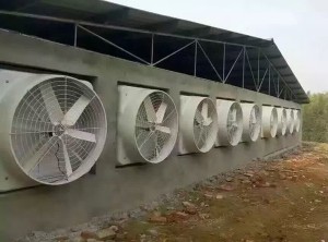 蜜桃免费观看安装现场