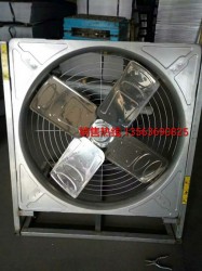 四叶牛舍蜜桃免费观看