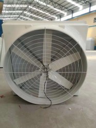 玻璃钢蜜桃免费观看